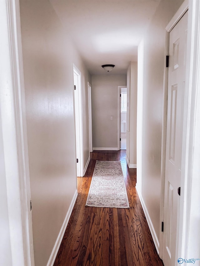 hallway featuring dark wood-type flooring