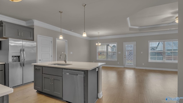 kitchen featuring a healthy amount of sunlight, a sink, gray cabinetry, light wood-style floors, and stainless steel appliances