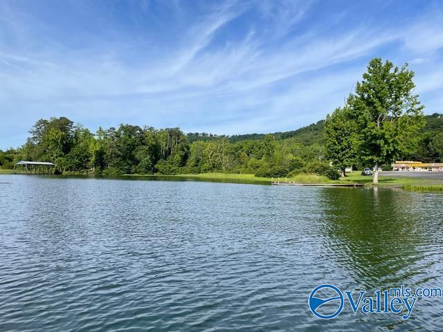 6ACRES Pine Island Pt, Scottsboro AL, 35769 land for sale