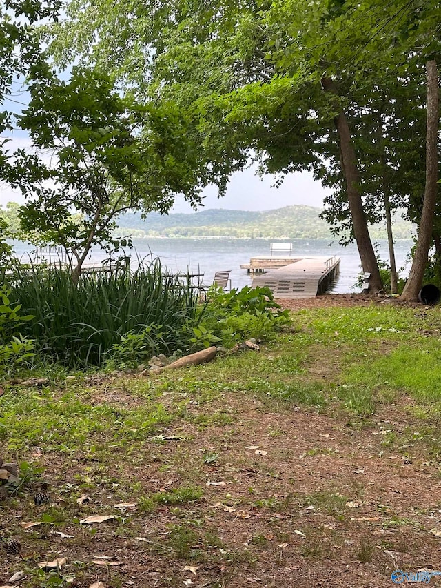 view of yard with a water view