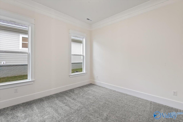 spare room featuring carpet floors, crown molding, and plenty of natural light