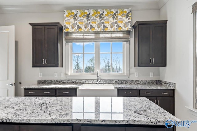 kitchen featuring sink, dark brown cabinets, light stone countertops, and ornamental molding