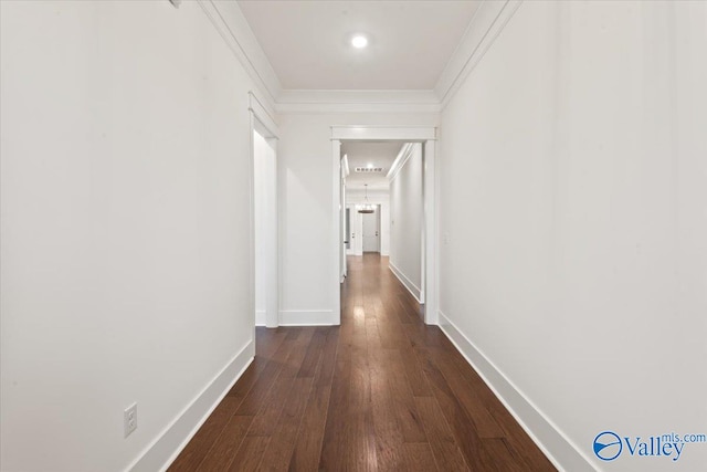 hall featuring dark wood-type flooring and crown molding