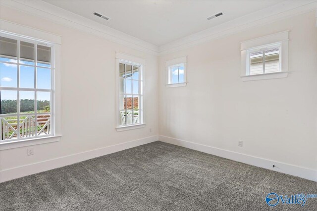 carpeted spare room with crown molding and a healthy amount of sunlight