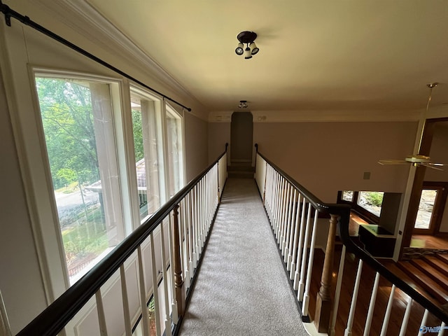 hallway featuring light carpet and crown molding