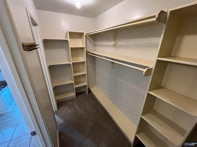 walk in closet with dark colored carpet