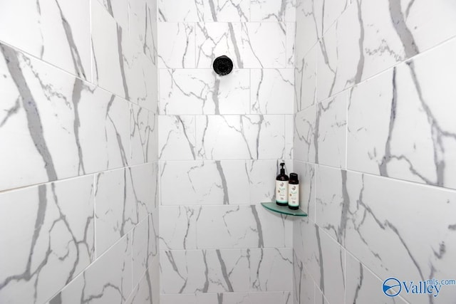 room details with tiled shower