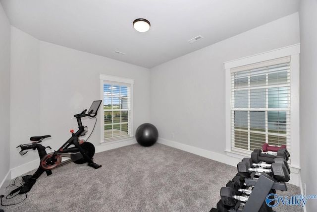 workout area featuring baseboards, visible vents, and carpet floors