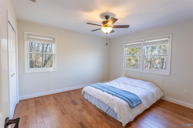 bedroom with light wood-type flooring, ceiling fan, a closet, and multiple windows