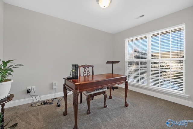 view of carpeted home office