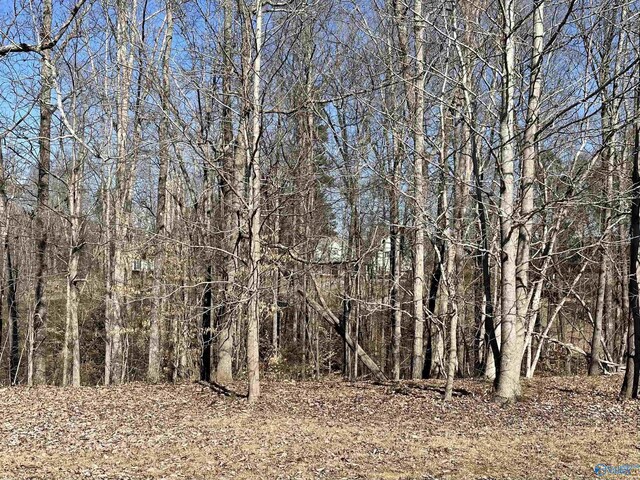 LOT18 Deer Walk, Guntersville AL, 35976 land for sale