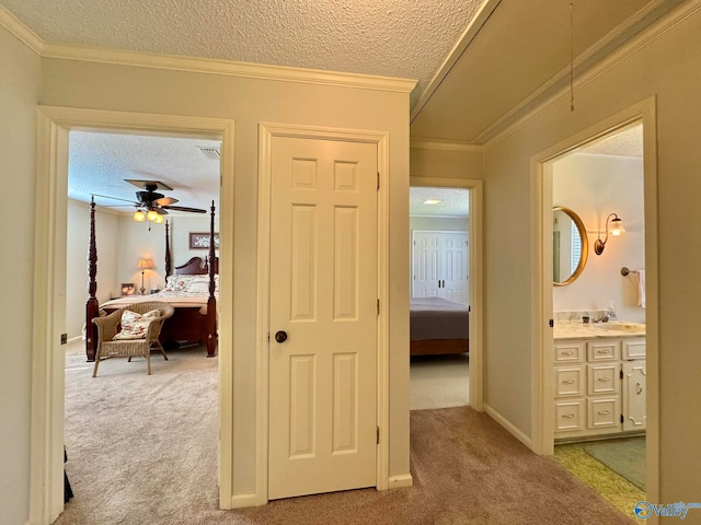 corridor with carpet flooring, crown molding, and a textured ceiling