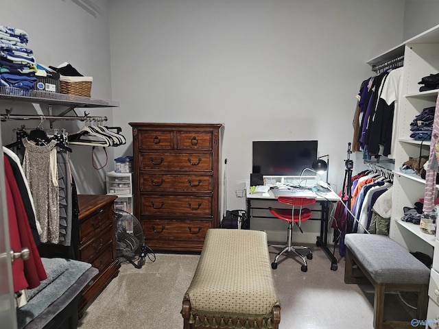 walk in closet with light colored carpet