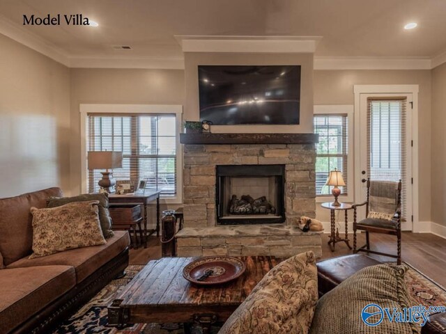 living room with ornamental molding, wood-type flooring, and a stone fireplace