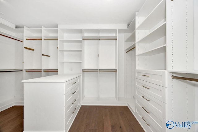 walk in closet with dark wood-type flooring