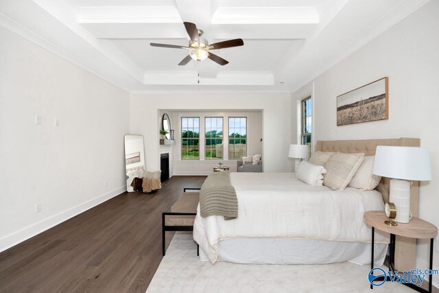 bedroom featuring wood finished floors, a fireplace, baseboards, ceiling fan, and a tray ceiling
