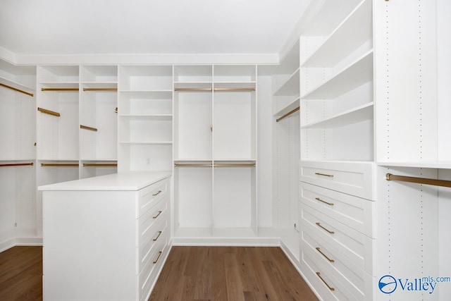 spacious closet featuring dark wood finished floors