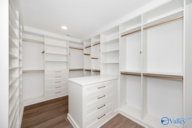 spacious closet featuring dark wood-type flooring