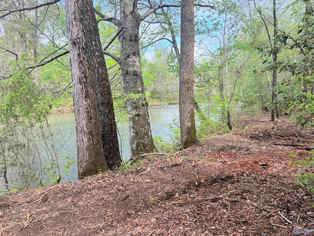 Listing photo 3 for LOT10 County Road 137, Cedar Bluff AL 35959