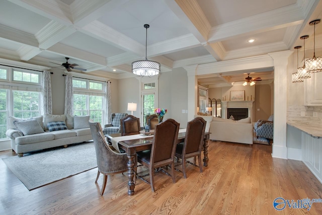 dining room featuring beamed ceiling, ceiling fan with notable chandelier, light hardwood / wood-style floors, and coffered ceiling