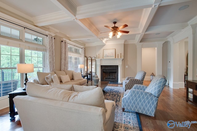 living room featuring dark hardwood / wood-style floors, ceiling fan, beam ceiling, and coffered ceiling