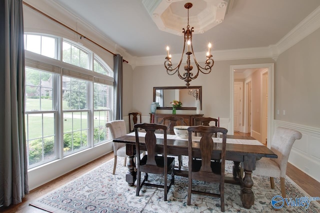 dining room with ornamental molding, a healthy amount of sunlight, and light hardwood / wood-style flooring