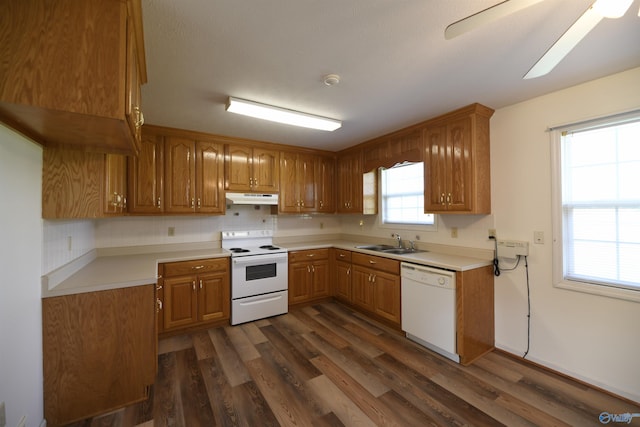 kitchen featuring sink, white appliances, dark hardwood / wood-style floors, ceiling fan, and backsplash