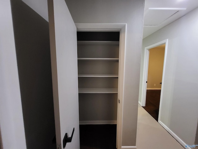 view of closet