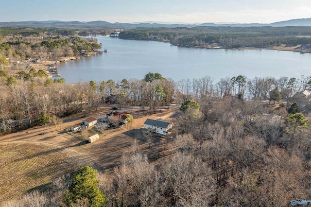 615 County Road 40, Centre, AL 35960 - aerial view with a water and mountain view