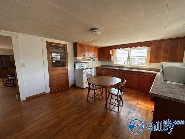 kitchen with dark wood-type flooring, sink, and white gas range oven