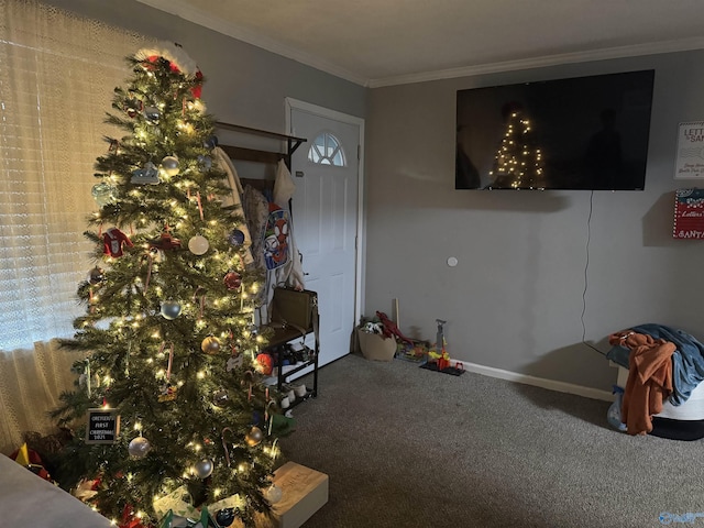 interior space with carpet and crown molding