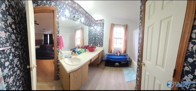 bathroom featuring hardwood / wood-style floors and vanity