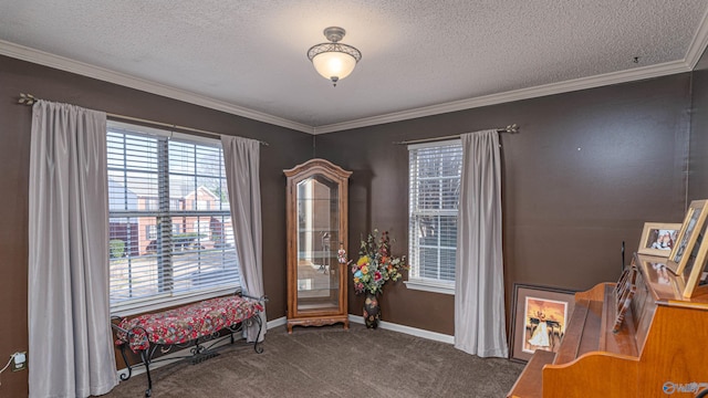 living area featuring a textured ceiling, crown molding, baseboards, and carpet floors