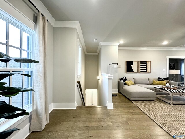 105 Kite Cir, Madison, AL 35756 - living room featuring crown molding, wood finished floors, plenty of natural light, and baseboards