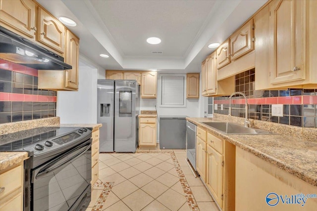 kitchen featuring a sink, a raised ceiling, appliances with stainless steel finishes, and light brown cabinetry