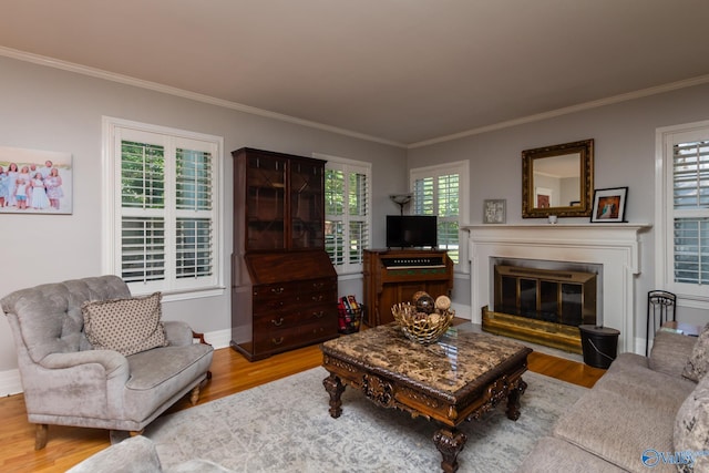 815 Sherman St SE, Decatur, AL 35601 - living area featuring wood finished floors, crown molding, a glass covered fireplace, healthy amount of natural light, and baseboards
