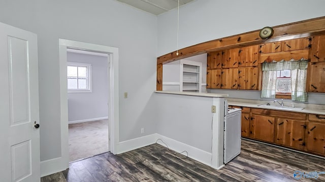 kitchen with sink and dark wood-type flooring