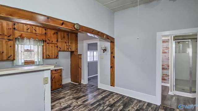 kitchen with dark hardwood / wood-style floors and a wealth of natural light