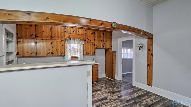 kitchen featuring dark hardwood / wood-style floors and a wealth of natural light