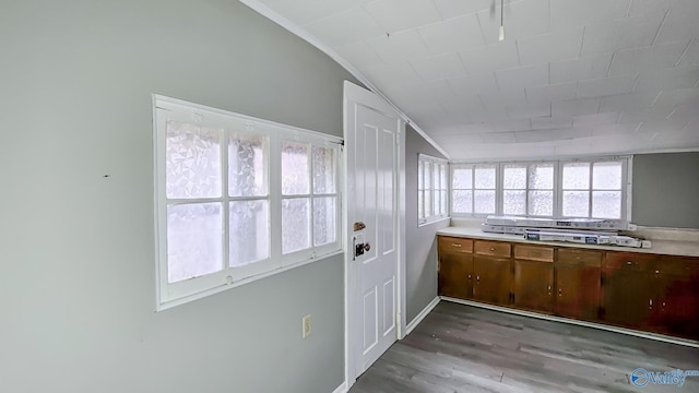 kitchen with vaulted ceiling and wood-type flooring