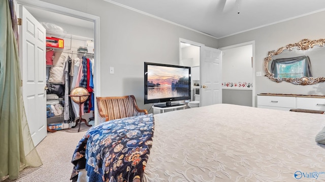 carpeted bedroom with crown molding, a closet, and ceiling fan