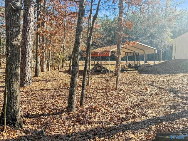 view of yard with a carport