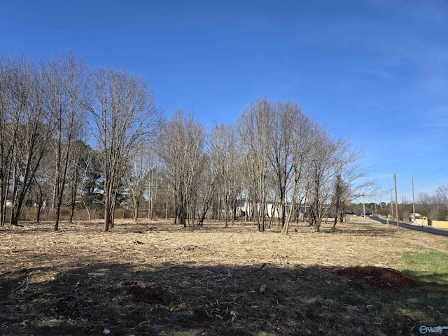 Listing photo 2 for 09ACRES Grimwood Rd, Toney AL 35773