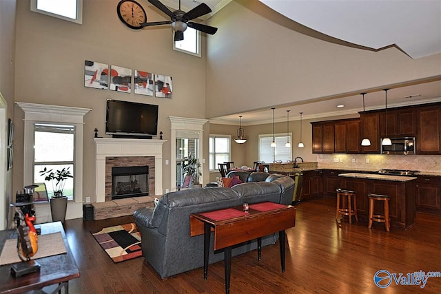 living room featuring plenty of natural light, a fireplace, and dark wood-type flooring