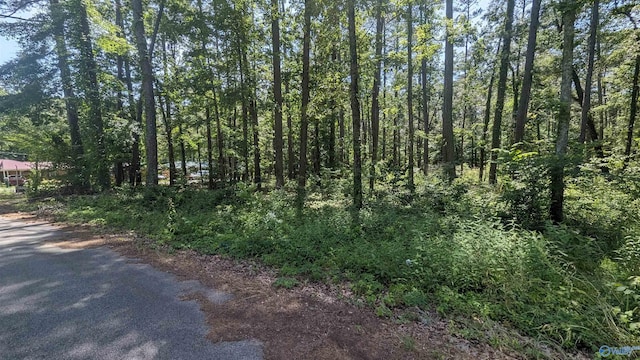 1016 Woodland St, Centre AL, 35960 land for sale