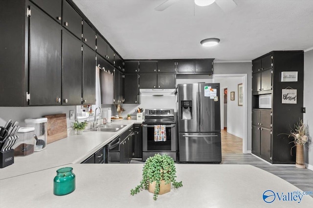 kitchen with appliances with stainless steel finishes, light hardwood / wood-style floors, ceiling fan, and sink