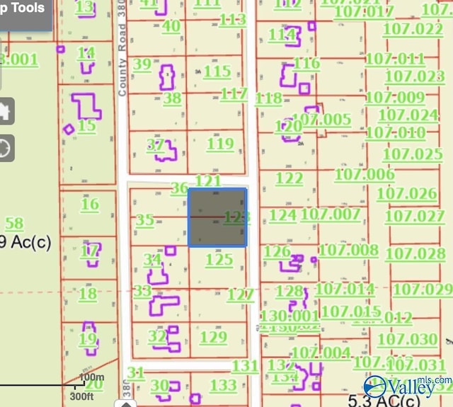 Listing photo 2 for LOT9/10 County Road 461, Centre AL 35960