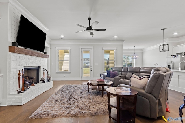 living room with a fireplace, crown molding, a wealth of natural light, and dark hardwood / wood-style floors