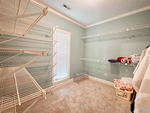 walk in closet featuring carpet flooring and visible vents