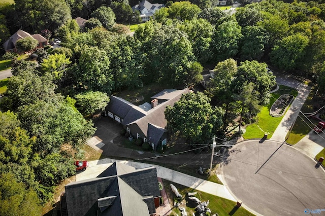 drone / aerial view
